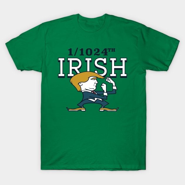 1/1024th Irish T-Shirt by stayfrostybro